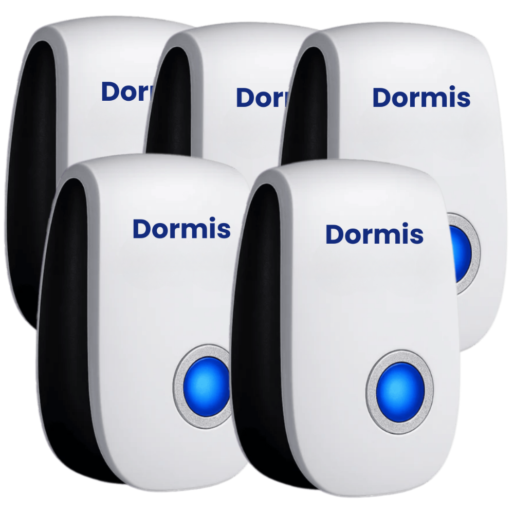 Dormis